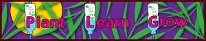 plant-learn-grow.jpg