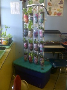 Brooklyn-20130501-00676