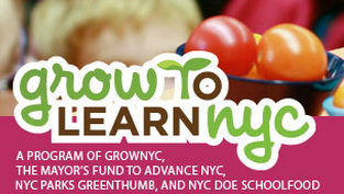 grottolearnlogosnippet