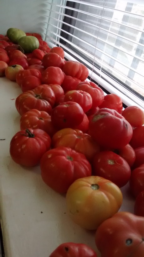 IMG_20141211_114134382