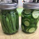 176X pickles